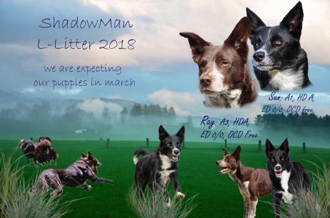 L litter